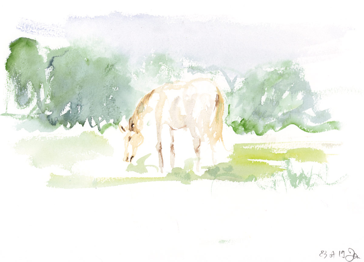 plus jamais &ccedil;a